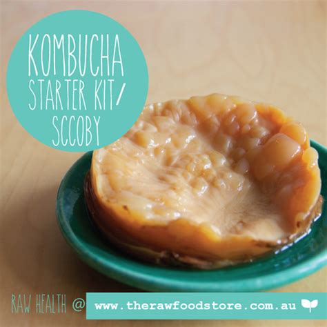kombucha starter kit at whole foods store